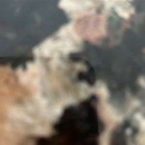 Meet your Posher, Arzo